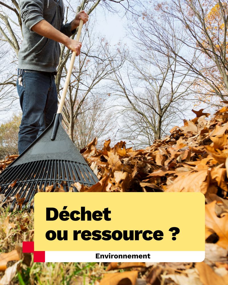 visuel interrogeant sur les déchets verts (tonte, feuilles mortes, branchages) : est-ce un déchet ou une ressource ? 