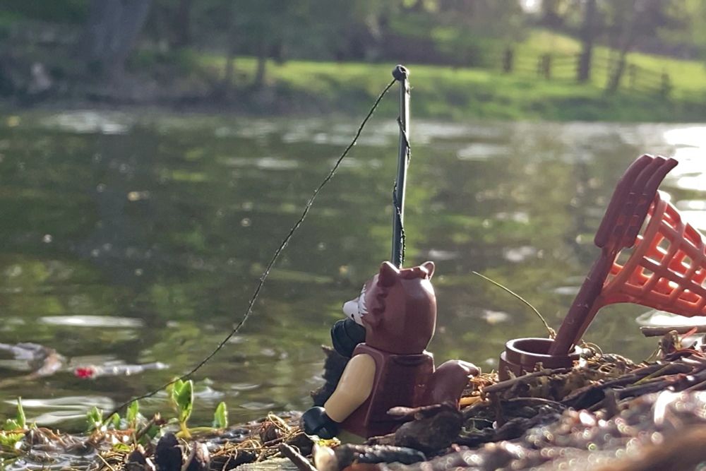 A LEGO raccoon standing on the bank of a river holding a fishing rod with the line going into the water. Beside him is a barrel with a net and pitchfork sticking out of it -- they are also LEGO pieces.

The bank on the other side has green rolling hills and a fence that extends down to the rivers edge.