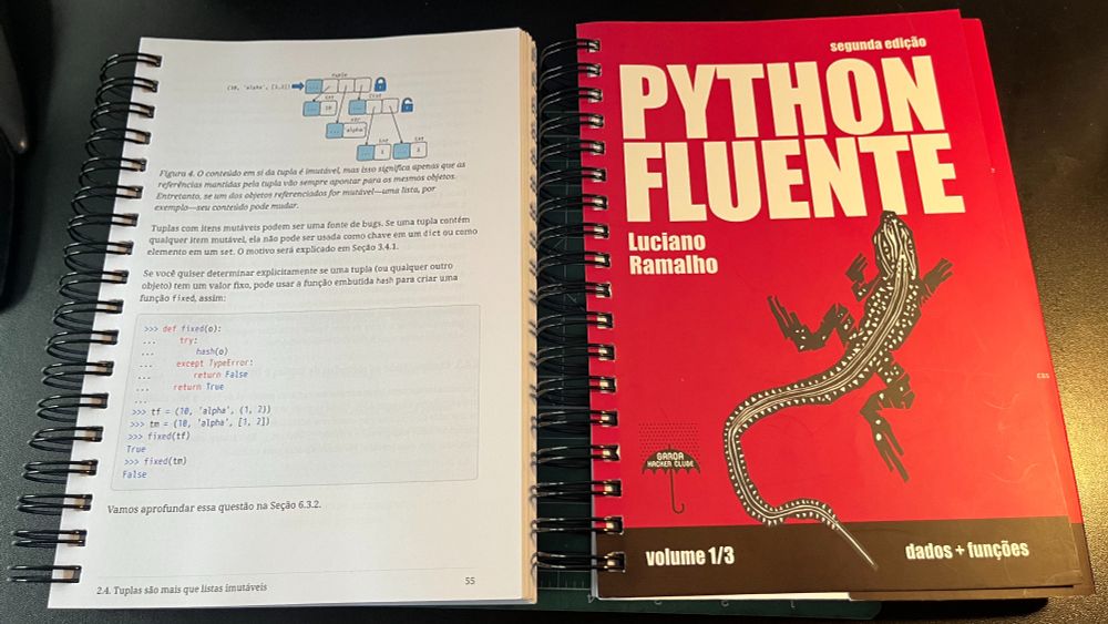 Foto de dois bonecos do Python Fluente vol.1 __dunder__.
O boneco da esquerda está aberto mostrando um diagrama em uma listagem coloridos. O da direita está fechado, mostrando a capa.