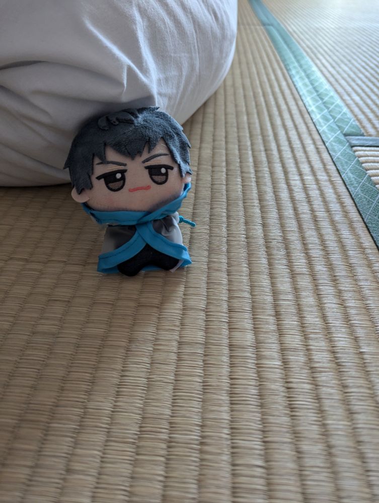 泊まったホテルの畳とはじめ