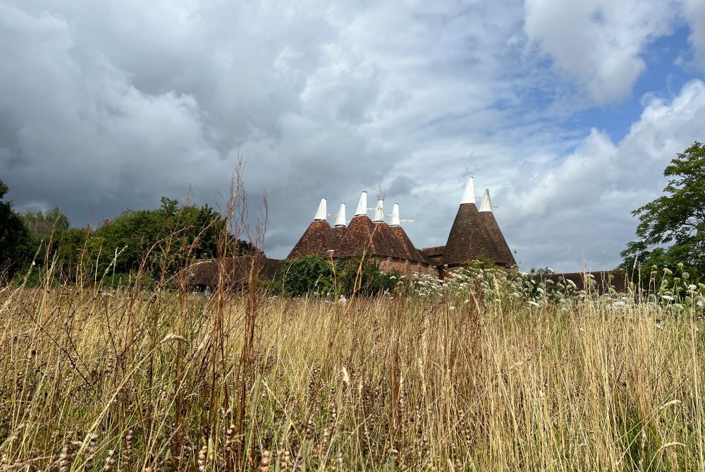 Oast houses in the grounds of Sissinghurst Castle viewed across a dry grassy meadow 