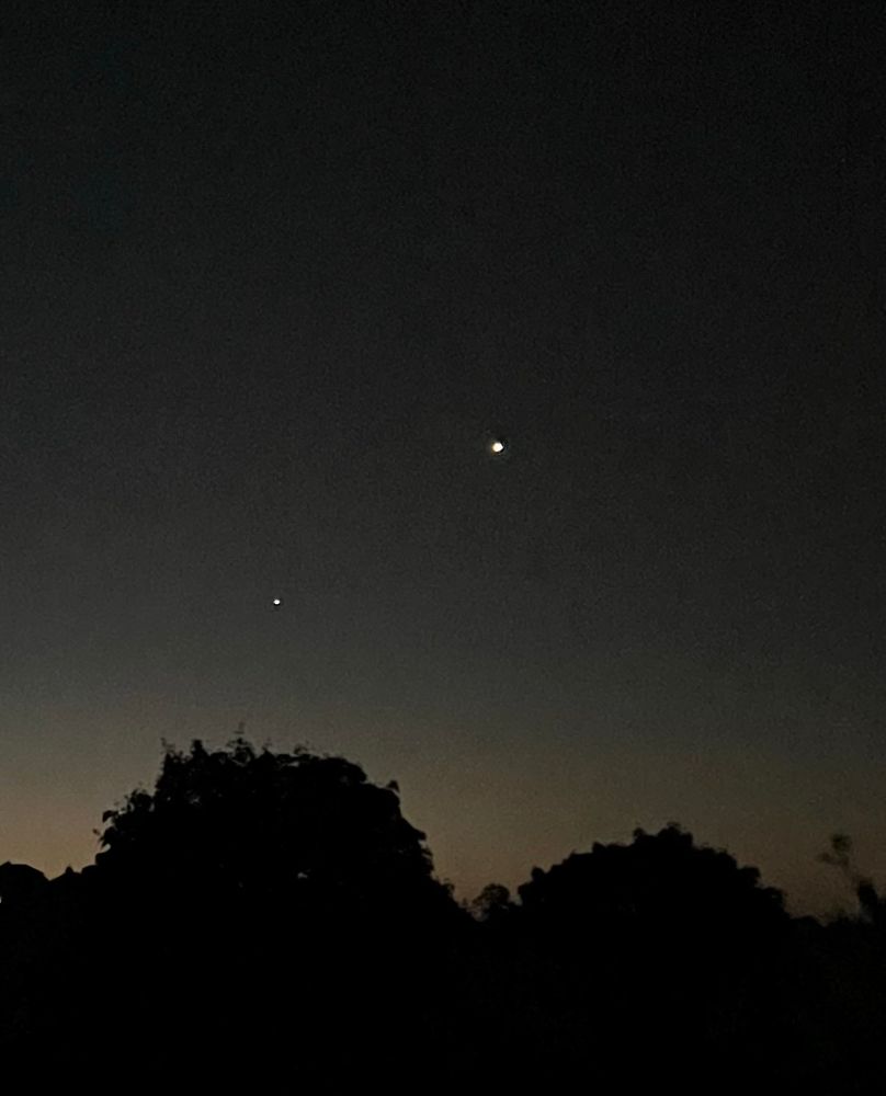 Dark early morning sky with two pinpoints of light above silhouettes of trees 
