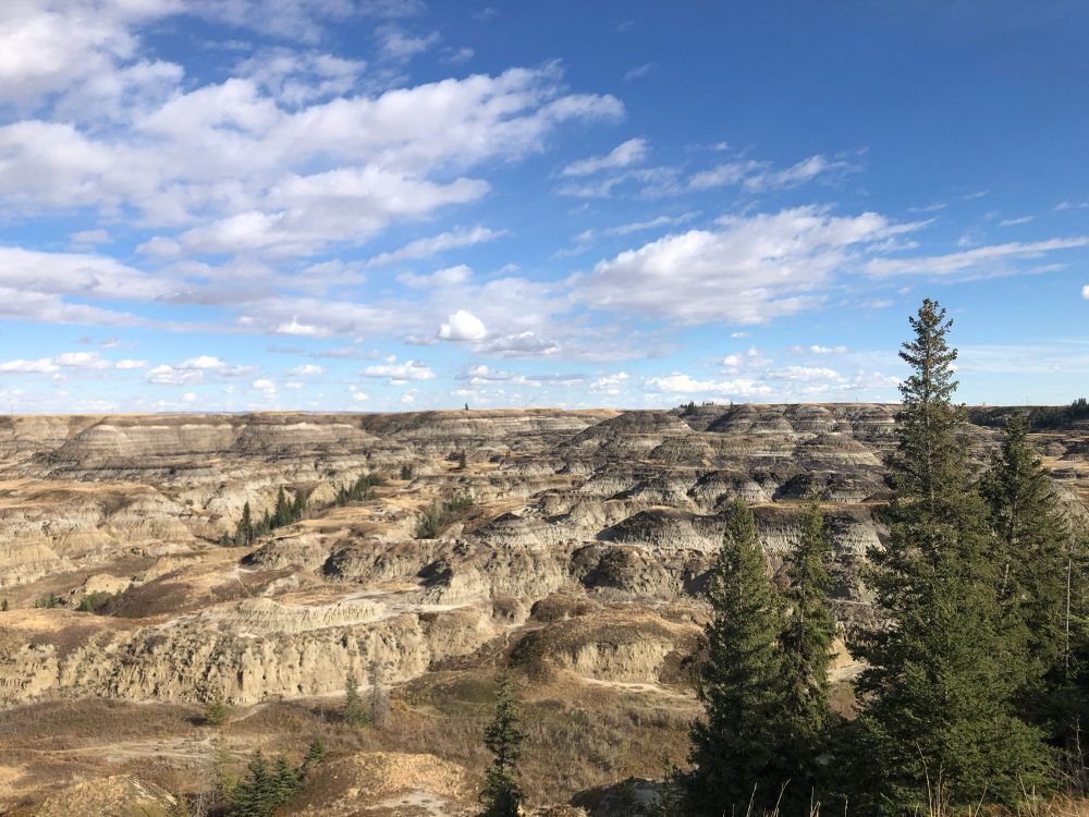 Badlands with conifers in the foreground