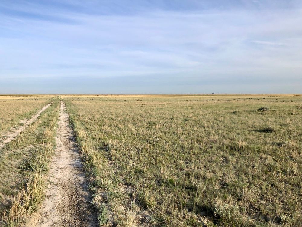 Short-grass prairie landscape 