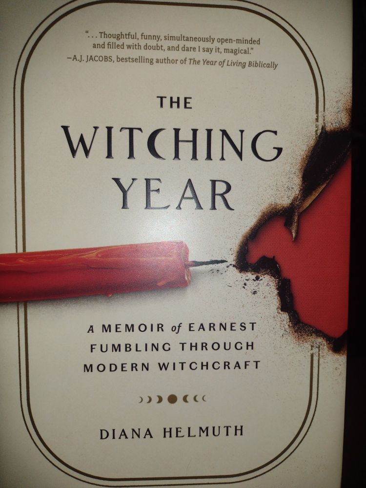 Photo of the book The Witching Year by Diana Helmuth