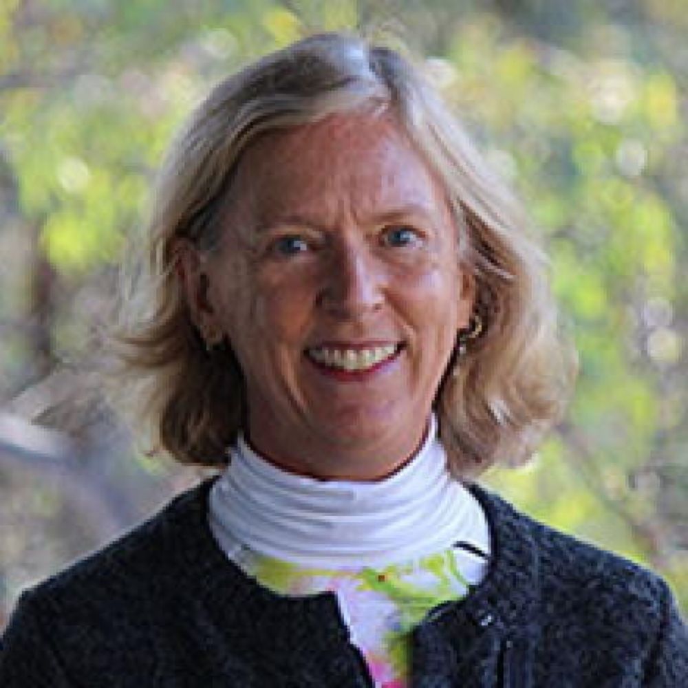 In Memoriam: Susan K. Sell, Professor Emerita of Political Science and International Affairs