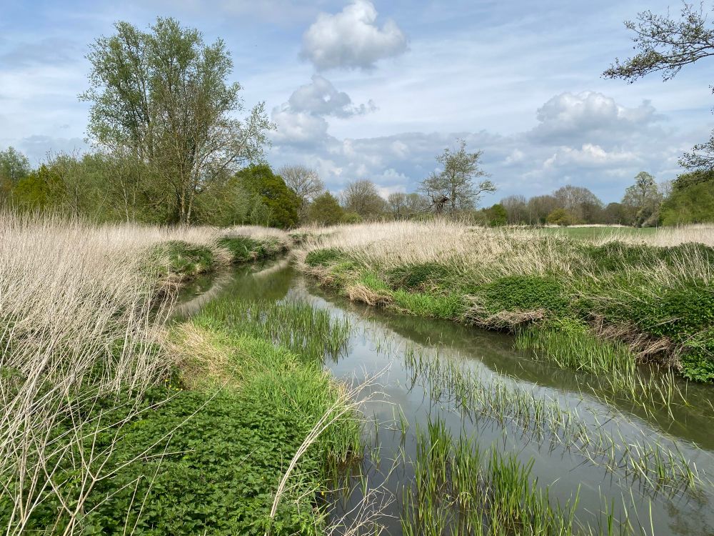 River Eden running very low. New green grass on its banks with last year’s tall dry grass. Patchy cloud. 