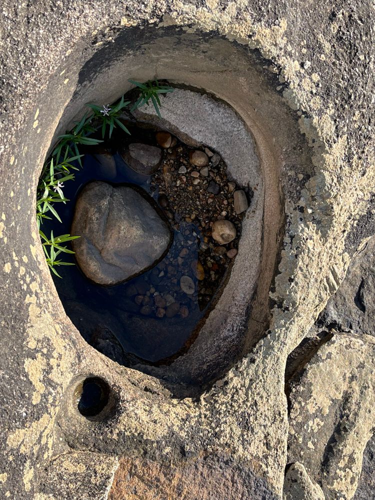 A granite bolder surface with a round, spherical pothole that nearly fils the picture. There are dark pebbles in the bottom of the potholes and a rounded lighter rock there as well. There is one small four inch potholes on the lip of the larger pothole. These potholes are moist with but have no standing water. 