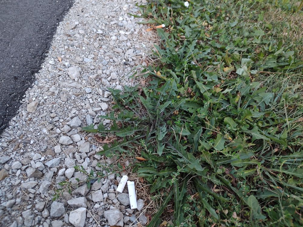 Two white cigarettes sit at the bottom of the frame. Two more sit near the top, all four beside a road