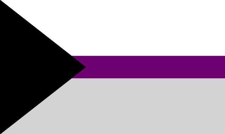 demisexual pride flag! 💜