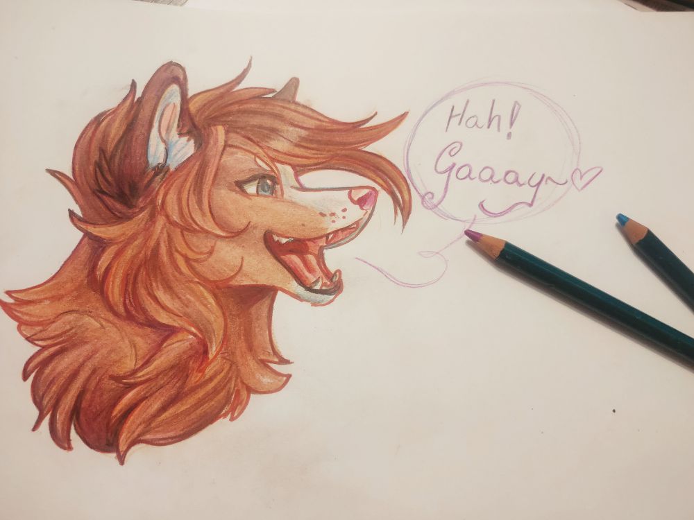 A traditionally drawn red fox with a big smile and open mouth, shouting: 'Hah! Gaaay~❤️'