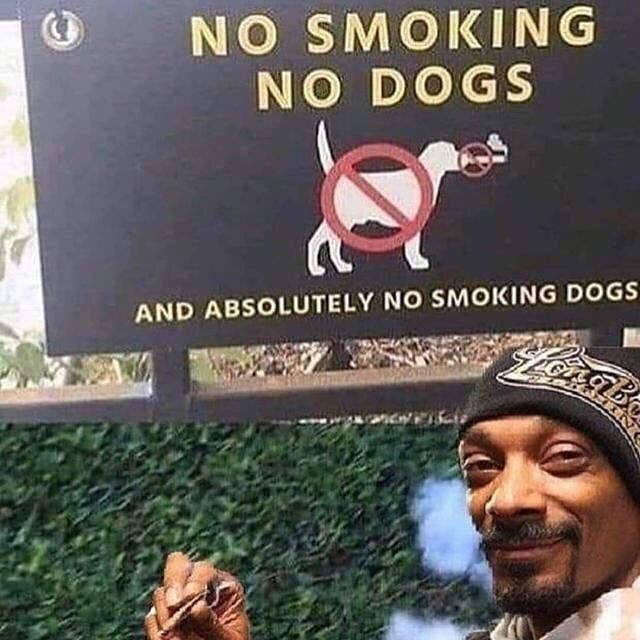Snoop Dog qui fume devant un panneau interdisant les chiens (dog), le fait de fumer (smocking) et surtout les chiens qui fument (smocking dog)
Aka: le meilleur meme du monde
