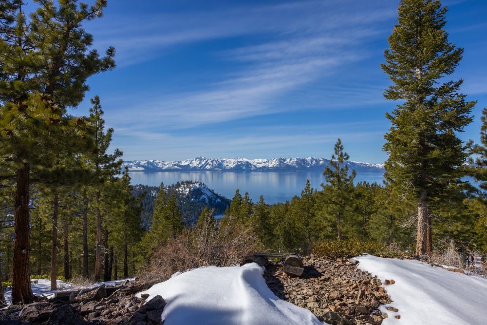 Snowy and rocky ground, with pine trees all around. There are mountains and a beautiful calm Lake Tahoe in the distance. There is a somewhat broken log/wooden seat visible. 