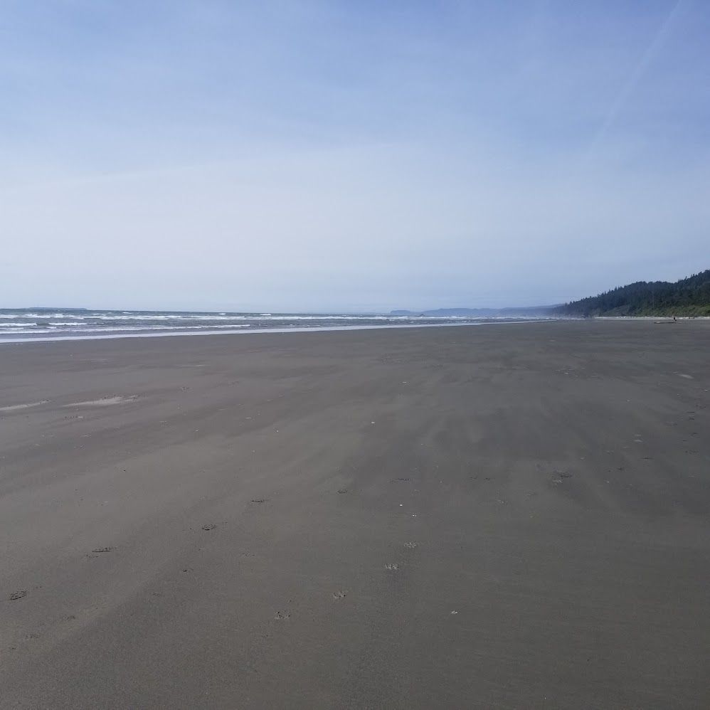 stretch of ocean beach