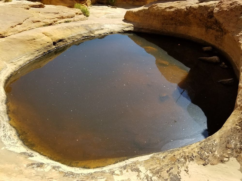 Small brown pool in desert