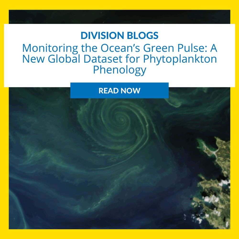 Image description: satellite view of a swirling ocean phytoplankton bloom.Text reading : "Monitoring the Ocean’s Green Pulse: A New Global Dataset for Phytoplankton Phenology. Read more."