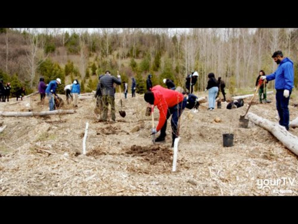 Trees for Life Comes to Milton
