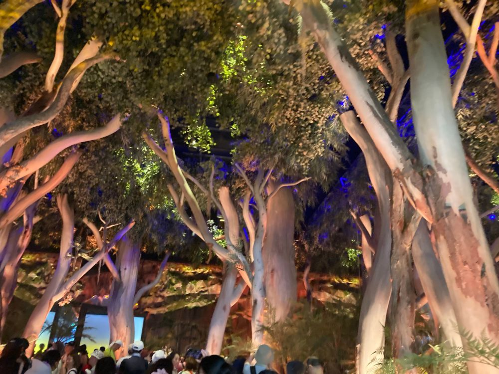 オーストラリア館展示