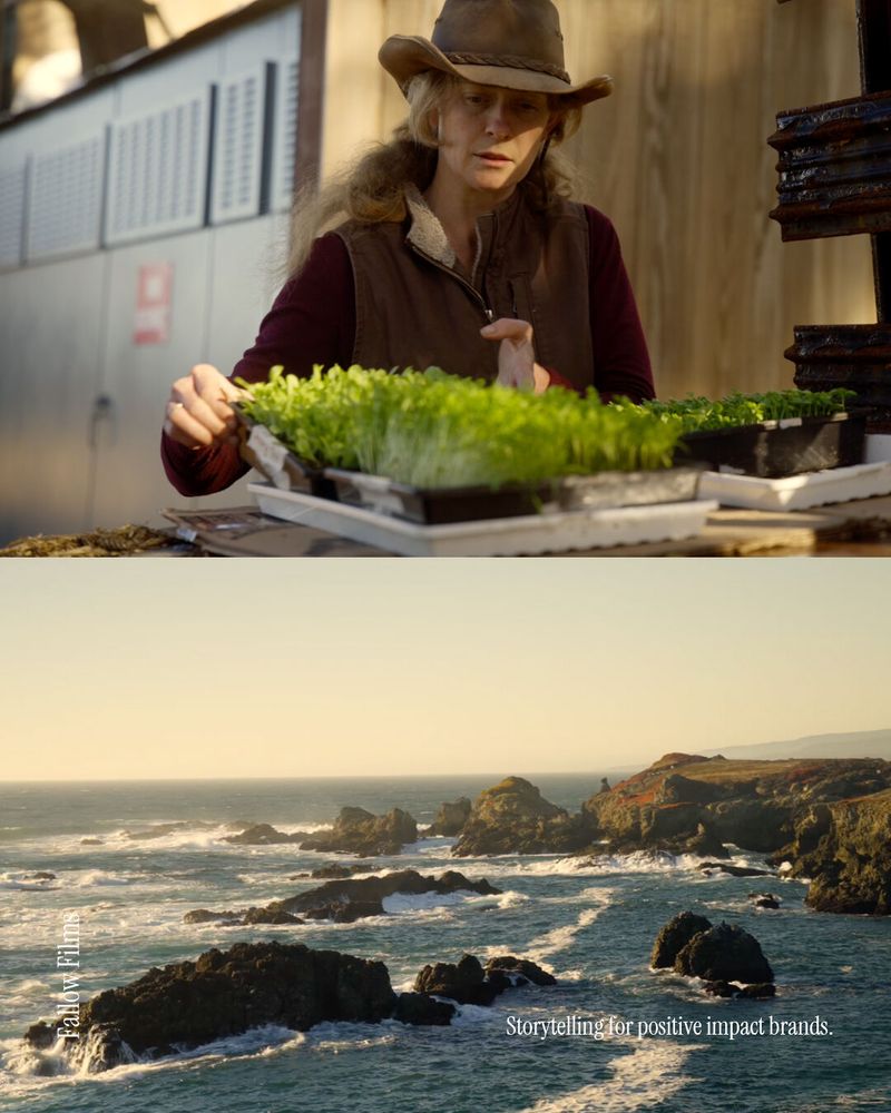 Photo 1. The Sea Ranch Farm Manager Katrina Hoffman delivering fresh greens to The Sea Ranch Lodge kitchen.

Photo 2. Wild & beautiful California coastline from The Meadow at The Sea Ranch Lodge.

#fallowfilms #documentary #storytelling #regenerativefarming #regenerativeranching #california #thesearanchlodge 