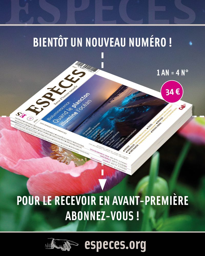 Abonnez-vous à la revue Espèces... le numéro de mars est sous presse !