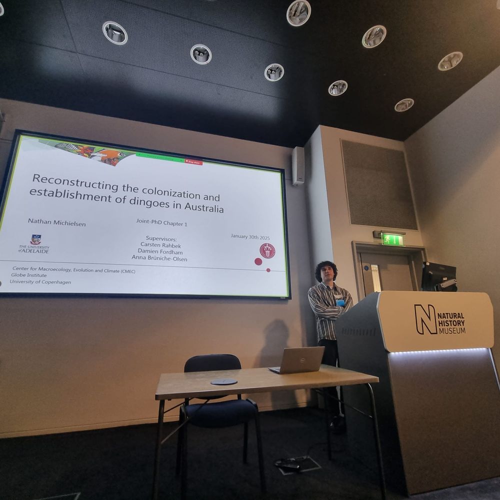 Nathan Michielsen standing arms-crossed behind a Natural History Museum lectern presenting his project on the establishment of dingoes in Australia. The current (title) slide is entitled "Reconstructing the colonization and establishment of dingoes in Australia".