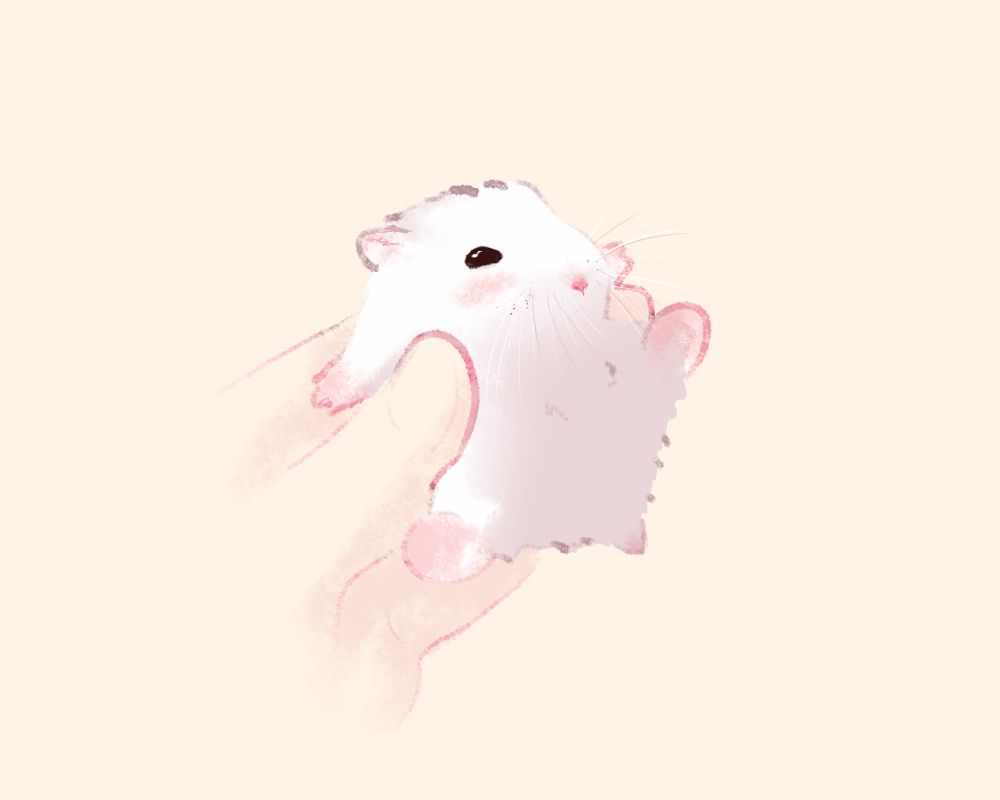 silly hamster drawing. white coloured hamster is getting picked up.