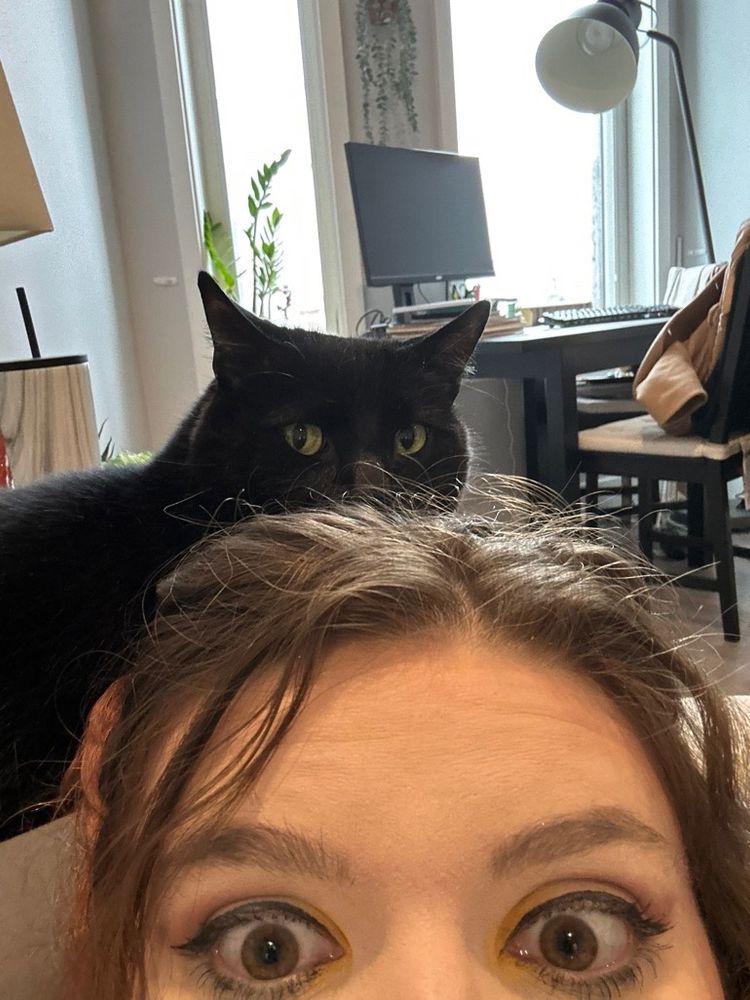 A selfie of the top of Grover’s caregiver’s head with only their eyes showing. Grover, an all black cat, can be seen behind their head. His ears are a little askew. 