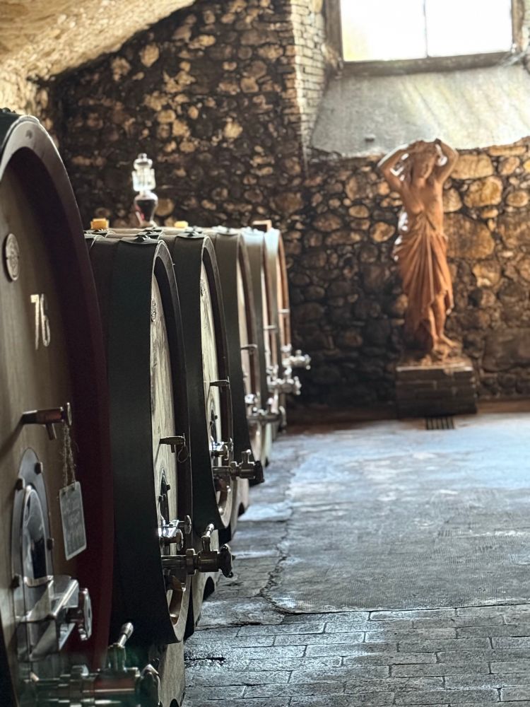 Centuries old wine barrels in Tuscan winery 
