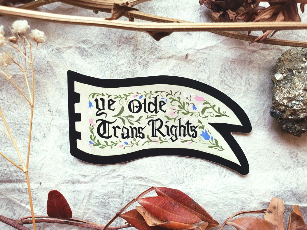 Photo of my ye olde trans rights sticker.