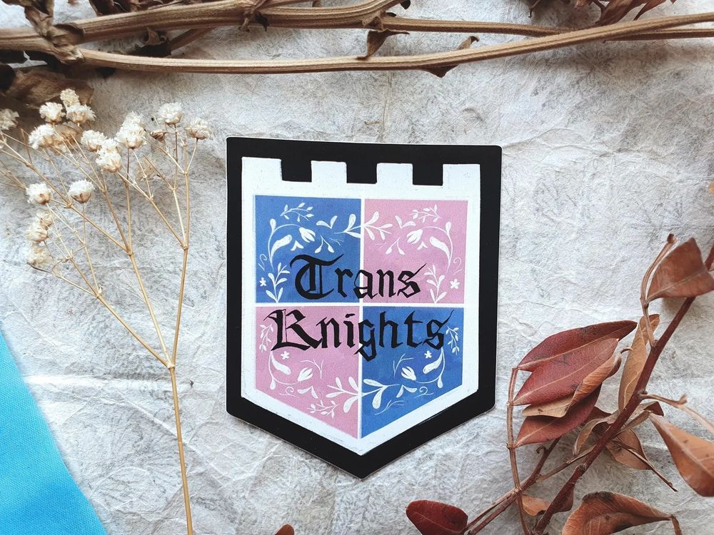 Photo of my trans knight sticker.