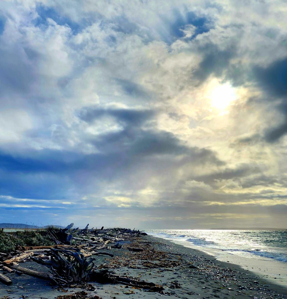 A long coastline strewn with rocks, kelp and driftwood. The sun struggles to break thru low clouds.