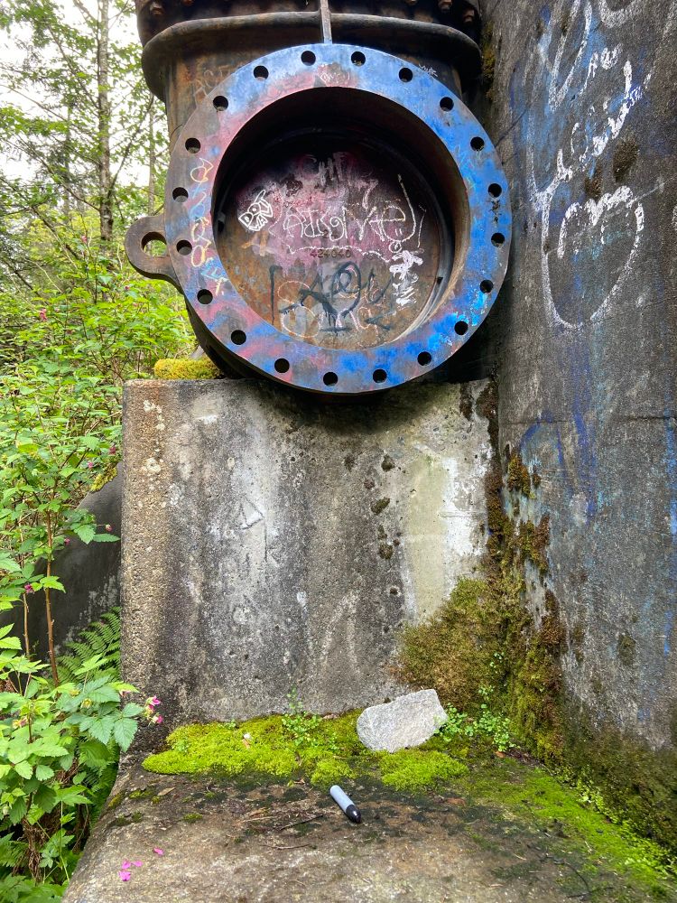 Graffiti on a closed water valve amongst concrete and greenery. A marker is lying on the ground.