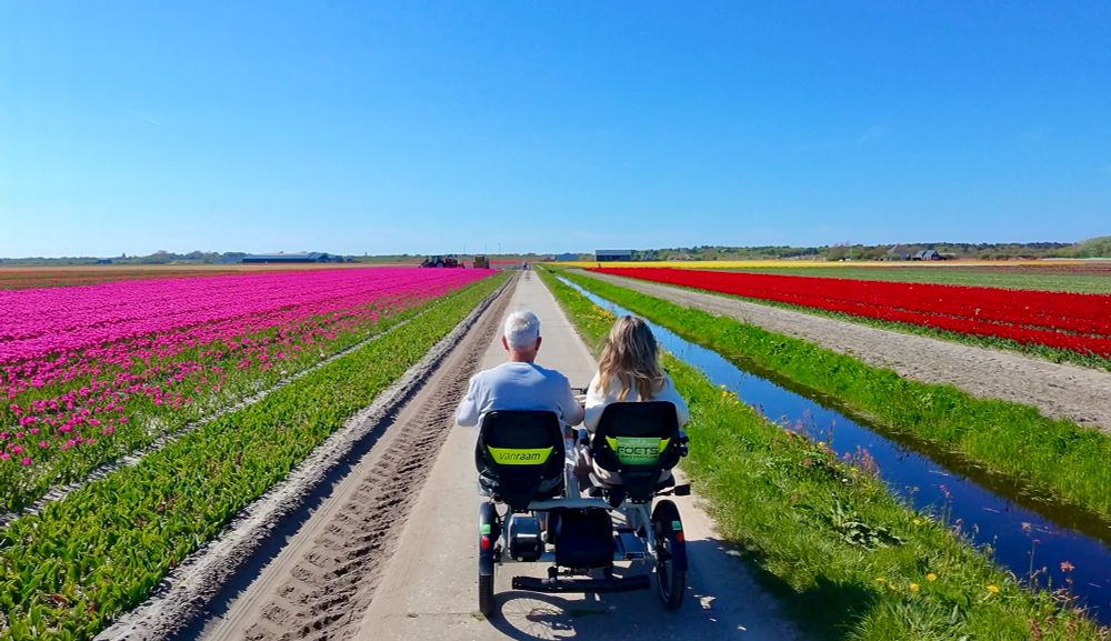 Couple enjoying flowerbulb fields while riding a side-by-side bike