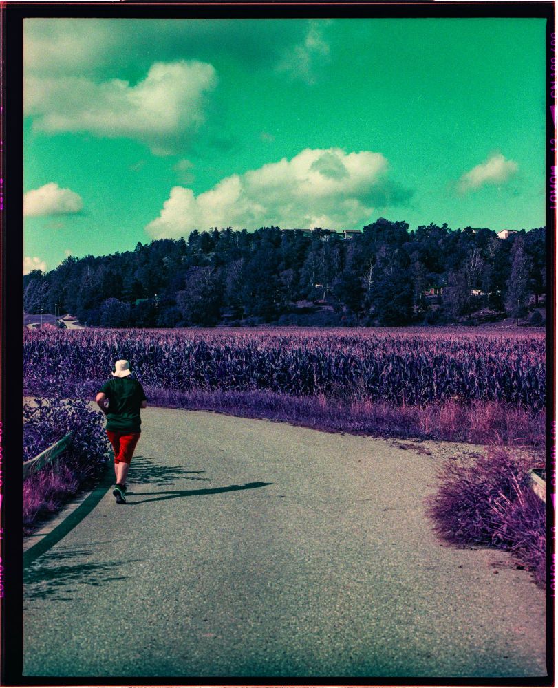 Majsfält i Tumba, joggare

Färgskiftningar med Lomo purple 