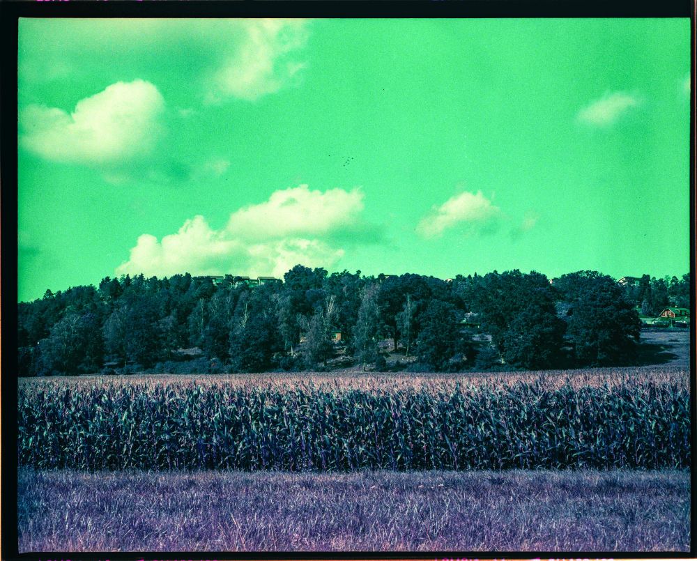 Majsfält i Tumba

Färgskiftningar med Lomo purple 