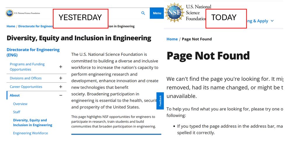 Left side of image shows a website for "Diversity, Equity and Inclusion in Engineering", right side of image shows a "Page Not Found" error.