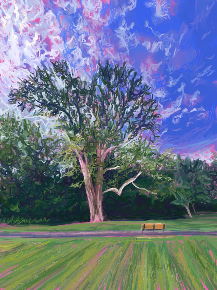 We see a digital painting of a large tree in a park. The tree sits in the background, in front of much shorter trees and shrubbery. A large expanse of grass fills the foreground. A path crosses the bottom of the screen, and we see a park bench off to the path, on the right side of the canvas, facing the tree. The sky is blue with wispy clouds coming across from the left side of the screen. 