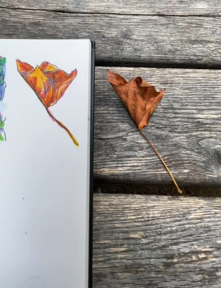 We see a curled up brown leaf, and to the left of it a marker sketch of it. The leaf sits on a picnic table, curled up towards the sky. The markers are more colorful but still aligned with the real leaf. 