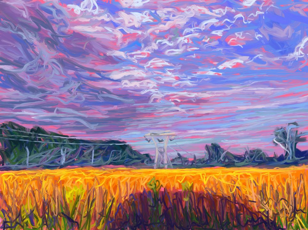 This is a digital painting of a yellow-orange field under party cloudy skies. Near the horizon we see some trees and a large power line. the shadow of a car is cast along the bottom part of the scene. Pink underpainting shows through in places. 