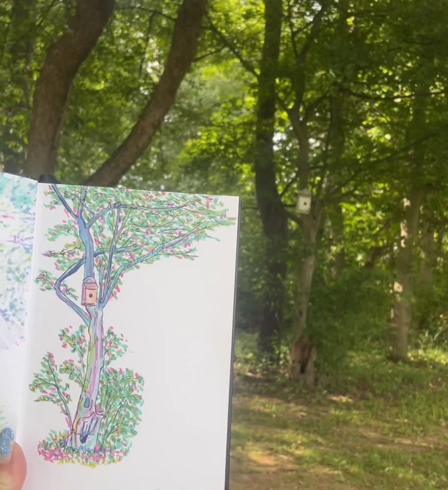 We see a sketchbook drawing of a small tree with a birdhouse in it. The sketch is done with a simple but colorful palette of markers and a black fine liner. To the right of the drawing, we see the real life tree that inspired the scene.  
