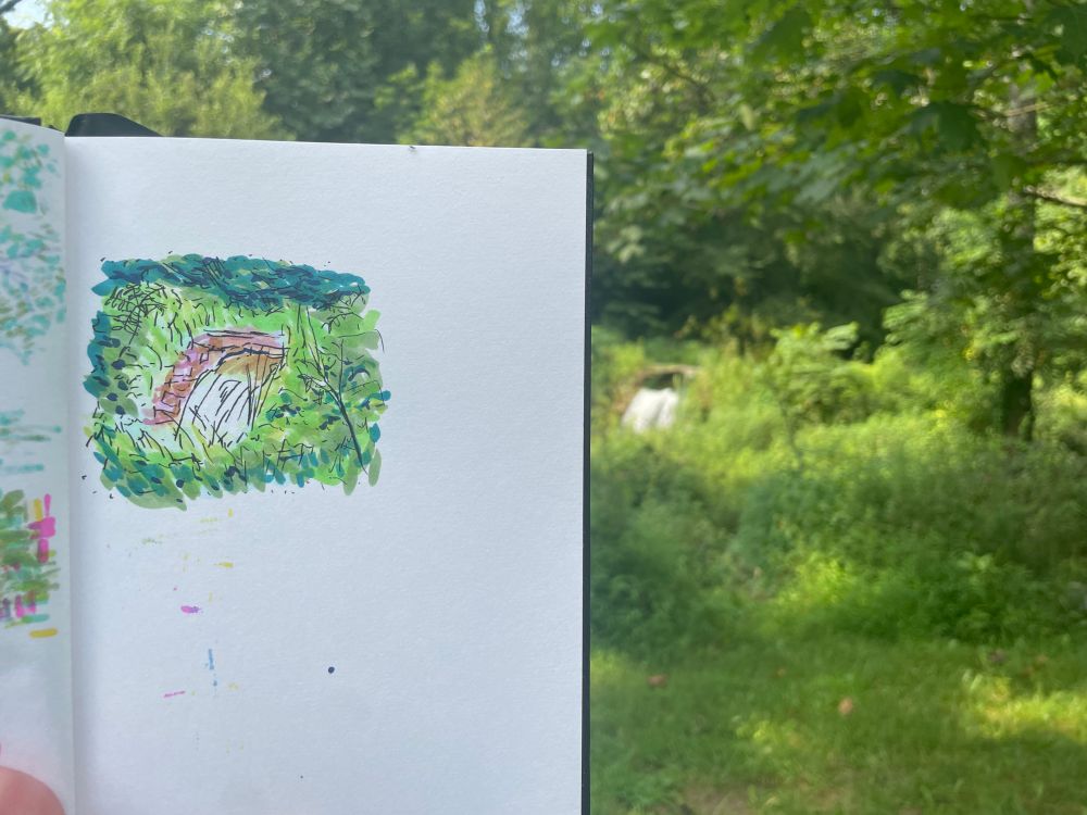 We see a picture of a marker drawing of a small waterfall, held up in front of the real life scene. Things are lush and overgrown with green. The drawing is in a sketchbook, taking up a small portion of the blank page. 