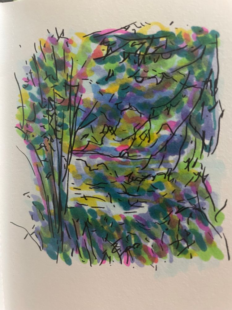 We see a colorful marker sketch on white paper. It shows an overgrown view into the river, with many plants and life around. The piece is loose and very colorful. 