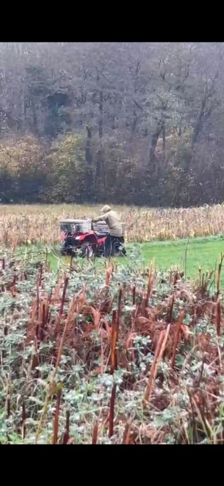 A broken-down quad bike in a field, with two people with their faces covered. 