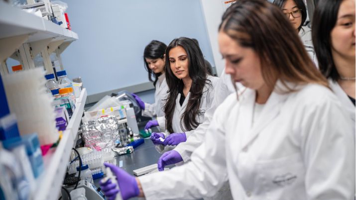 Student researchers in Dr. Kiran Soma's Lab