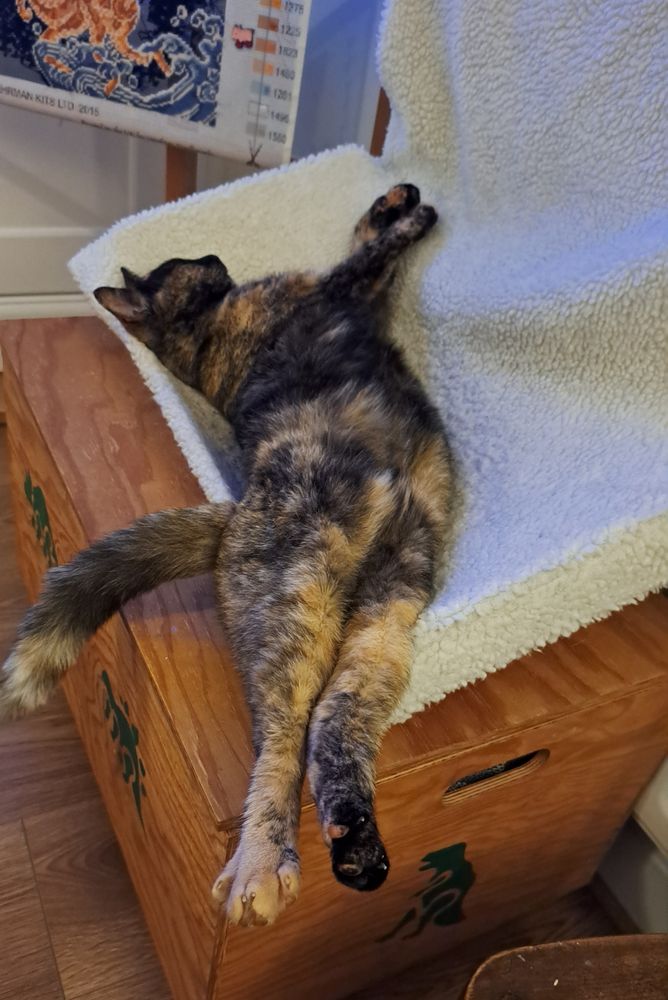 A tortoiseshell cat stretched out in the longest sleepy stretch on her radiator bed, with her dainty little wrists crossed 