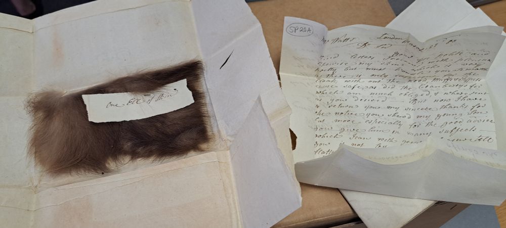 18th century letter with the enclosed 'one ell of fur'