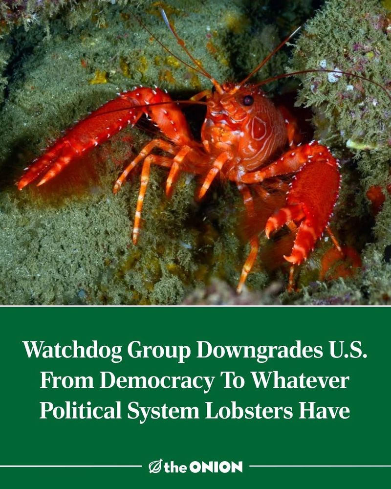 Photo of lobster underwater with caption “watchdog group downgrades US from democracy to whatever political system lobsters have”