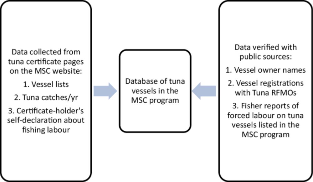 Is tuna ecolabeling causing fishers more harm than good? - npj Ocean Sustainability
