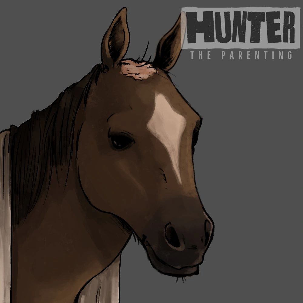 horse from hunter the parenting, he has a bald patch between his ears. He is a horse