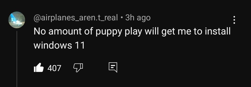 thebyoutube comment: "No amount of puppyplay will get me to install Windows 11"